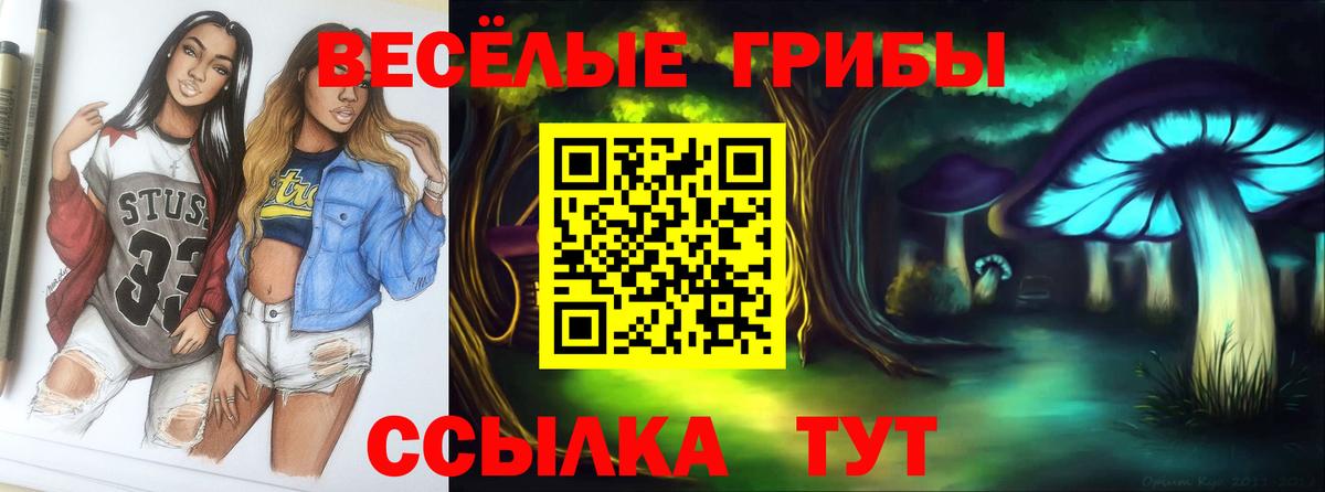 Галлюциногенные грибы Psilocybe  Вход с VPN  Галлюциногенные грибы Cubensis  Вятские Поляны 