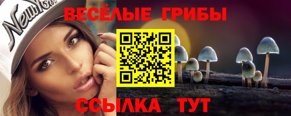 Галлюциногенные грибы мицелий Вятские Поляны